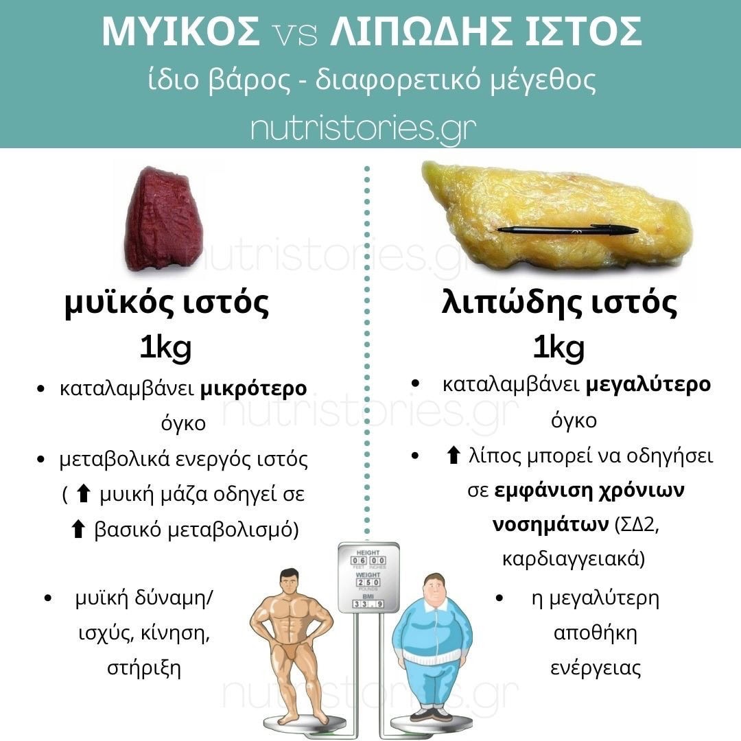 You are currently viewing Μυϊκός vs λιπώδης ιστός